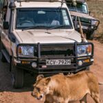 Safari Land Cruiser