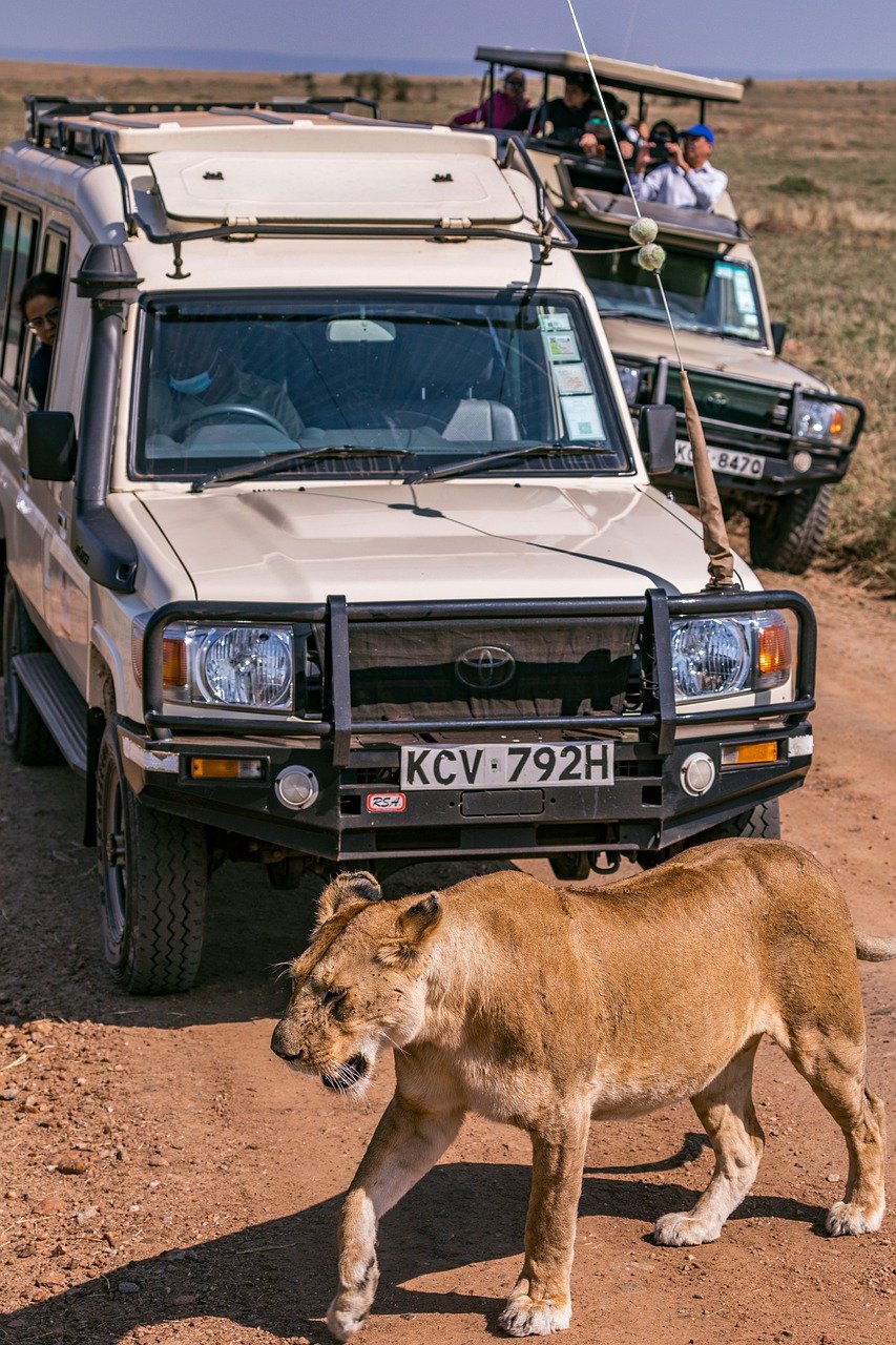 Safari Land Cruiser