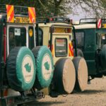 Safari jeeps for wildlife safari